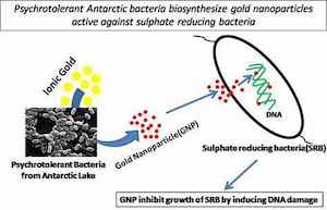 Nanoparticles